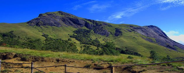 eravikulam national park