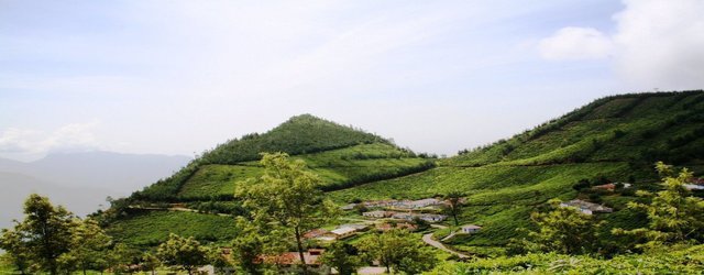 kolukkumalai in munnar