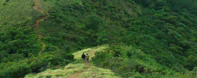 Meesapulimala in munnar